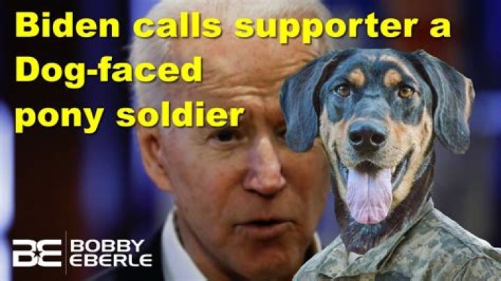 'A lying, dog-faced pony soldier': just what was Joe Biden talking about?