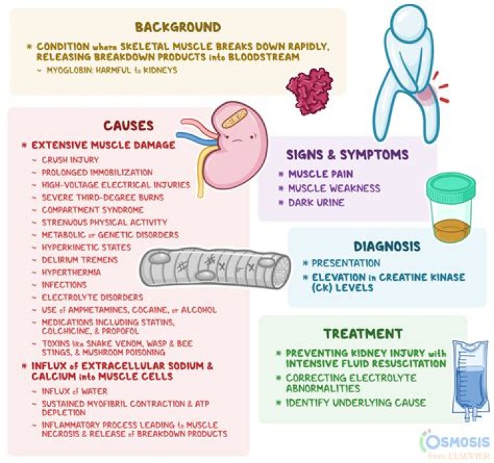 Female, Playing, Fiance And Urine Dream Interpretation ·