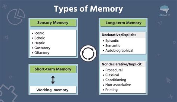 How To Honor The Memory Of Matt Virgil S