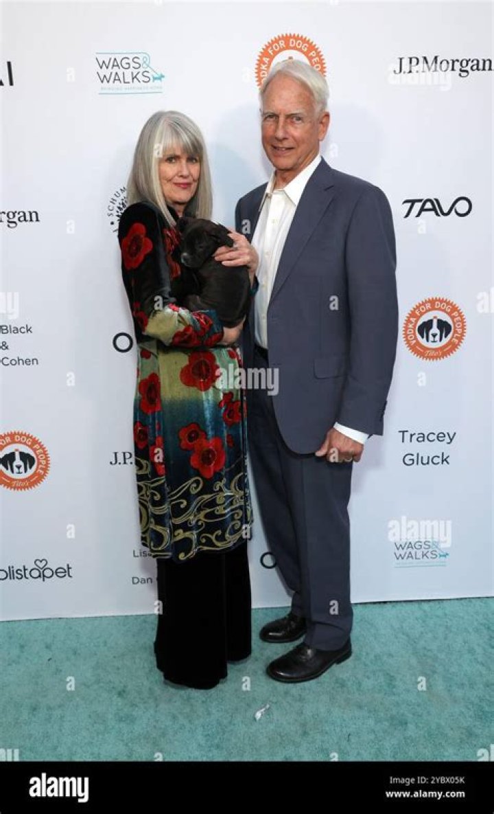 Unveiling The Enduring Bond And Success Of "Pam Dawber's Husband"